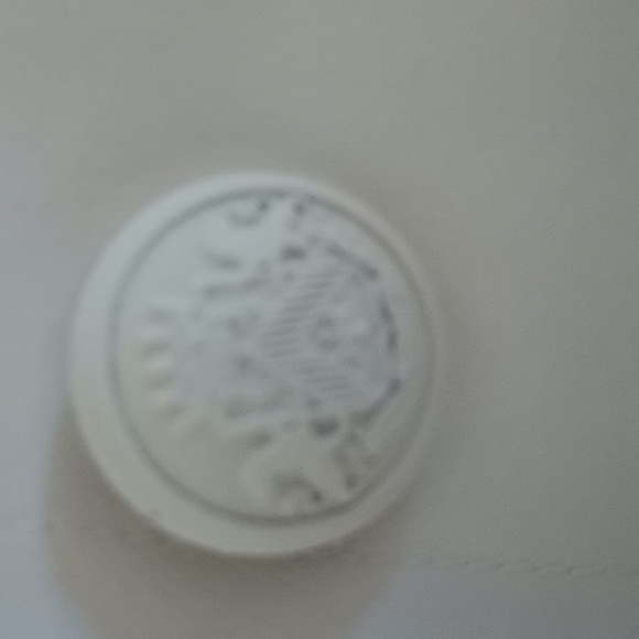 Express Shorts - Picture 10 of 11